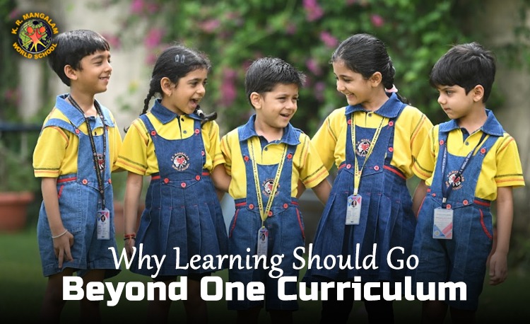 Why Learning Should Go Beyond One Curriculum